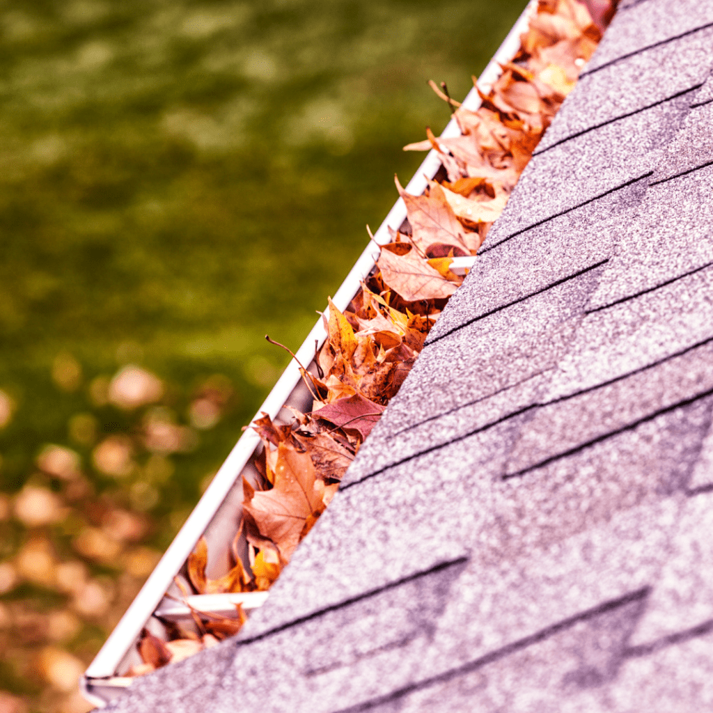Eavestrough filled with orange leaves