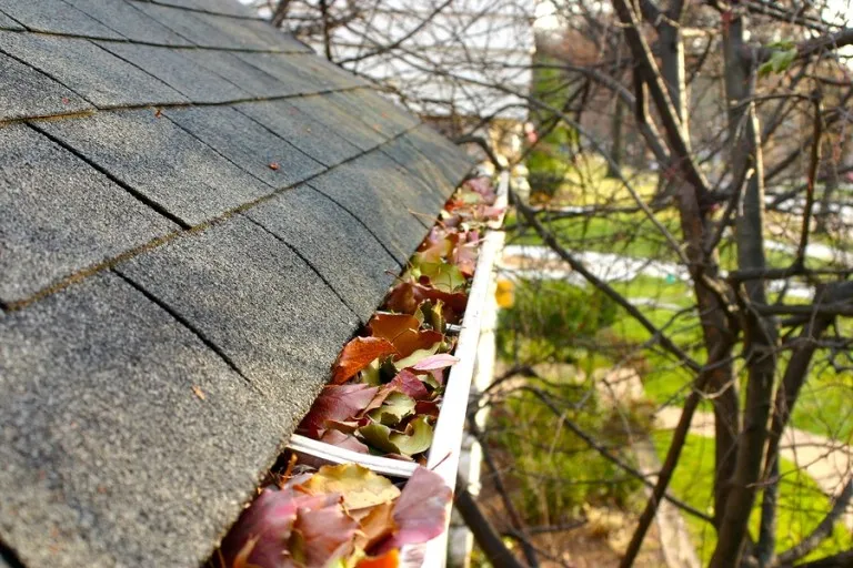 Eavestrough filled with leaves